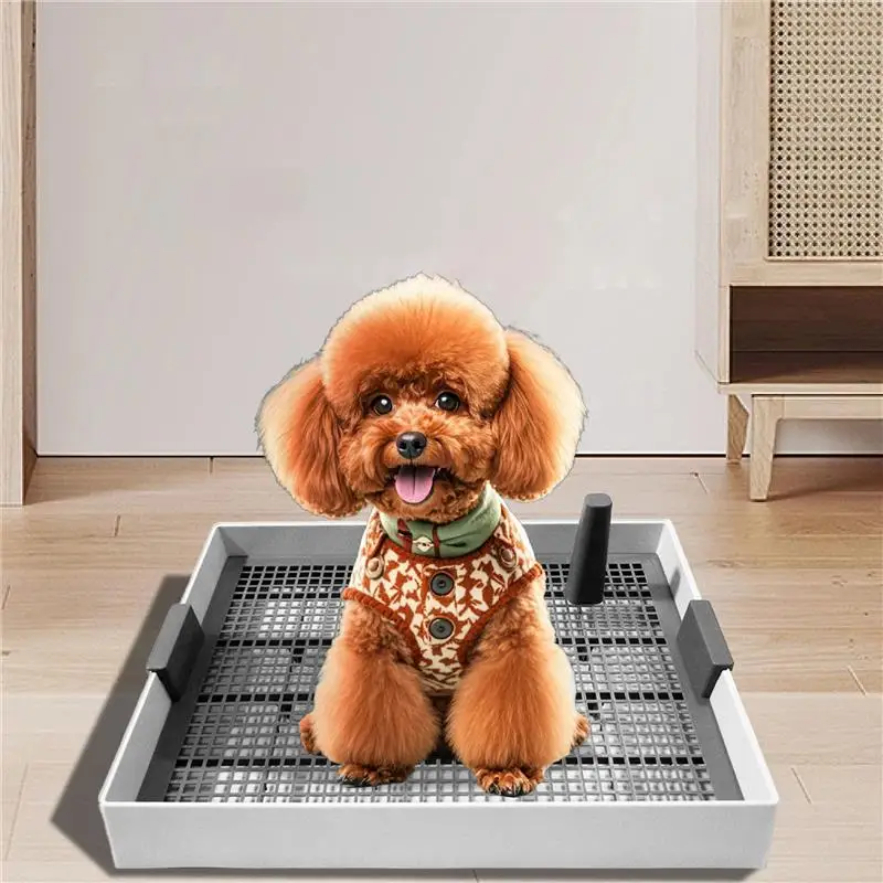 Dog Toilet Small Dog Flat Fixed Urinal Pad Medium-sized Teddy Pomeranian Flushing Anti-shit Potty Urinal Special