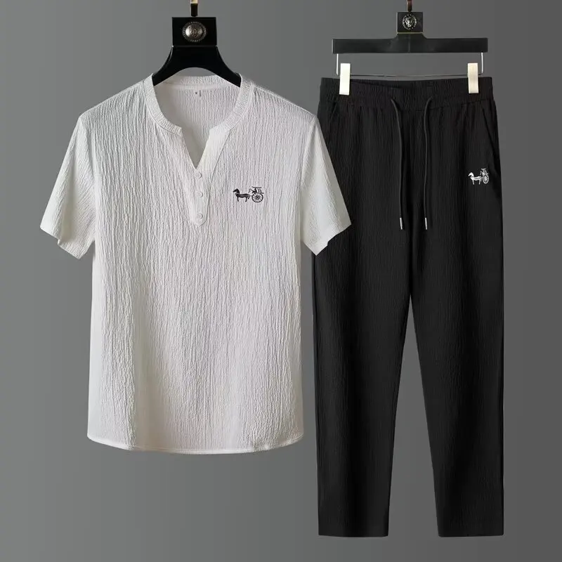 T-shirt, Pants, Thin Casual Sports Suit, Men's Summer High-end Brand V-neck Embroidered Slim Fit Short Sleeved Two-piece Set