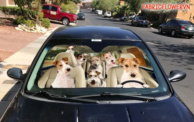 Fox Terrier Car Sunshade, Fox Terrier Car Decoration, Fox Terrier Windshield, Dog Lovers Gift, Dog Car Sunshade, Gift For Mom, G