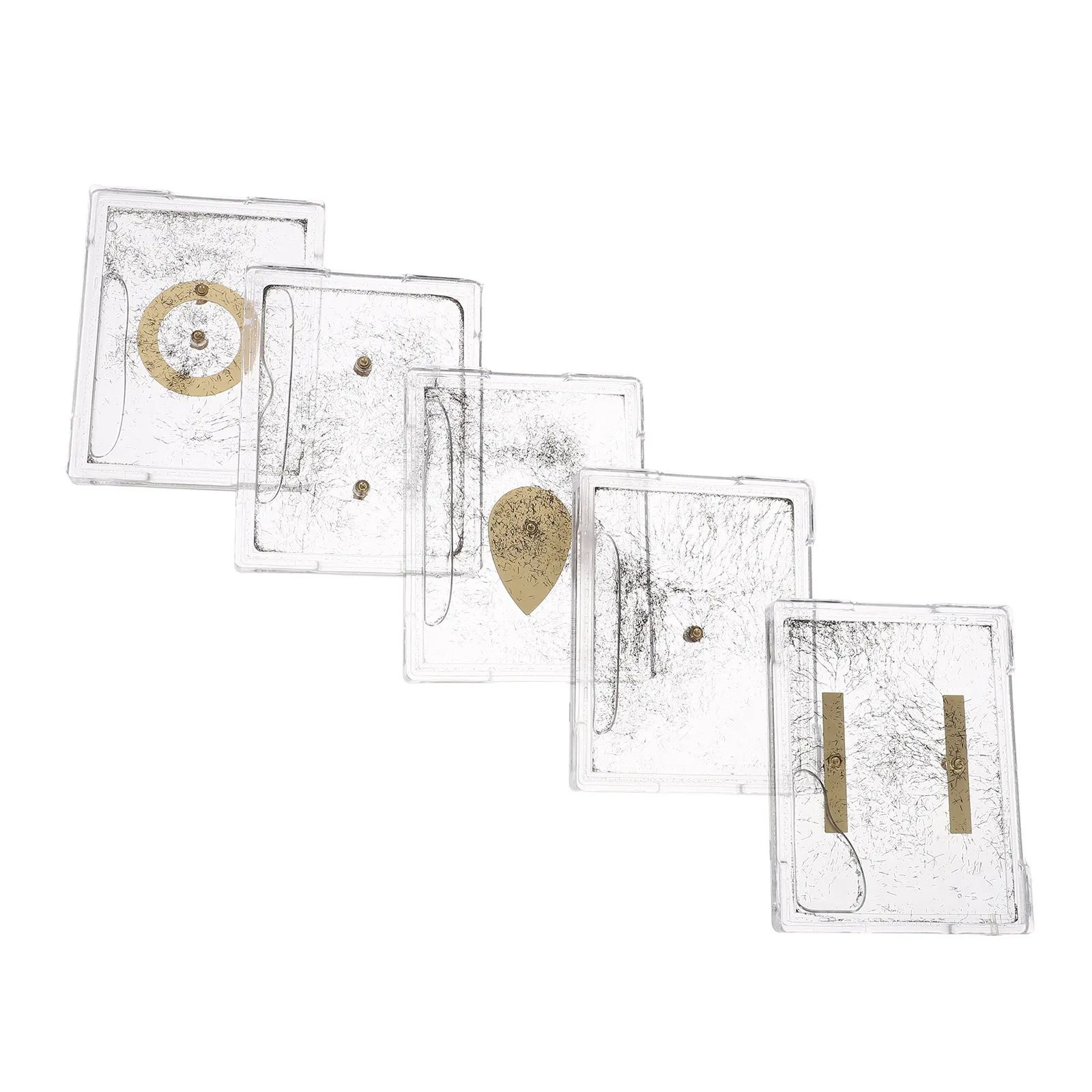 5Sets Magnetic Field Demonstration Device Physics Electromagnetism Teaching Apparatus Iron Powder Filings Student Classroom