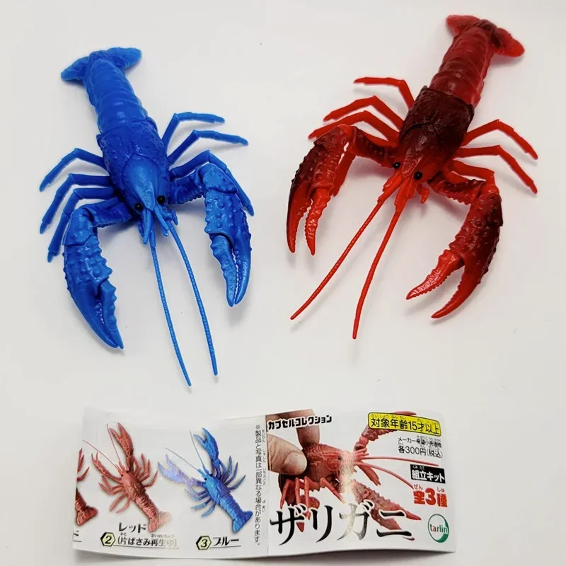 TARLIN Kawaii Cute Original Japan Gashapon Figure Anime Aquatic Animals Joints Movable Crayfish Figurine Capsule Toy