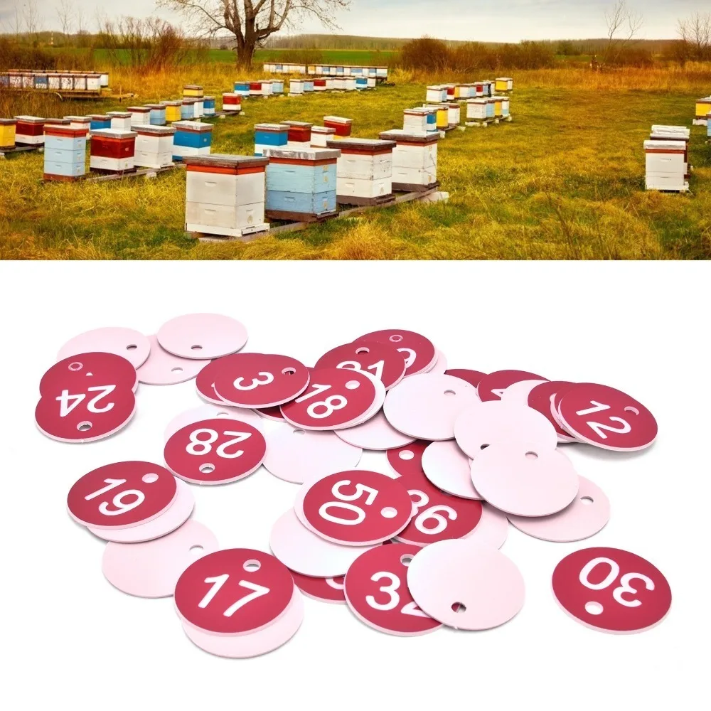 50Pcs Blue/Green/Red Numbered Label Tags ABS Small Holes Livestock Tags Numbers 1-50 Durable Beekeeping Tags Animal Husbandry