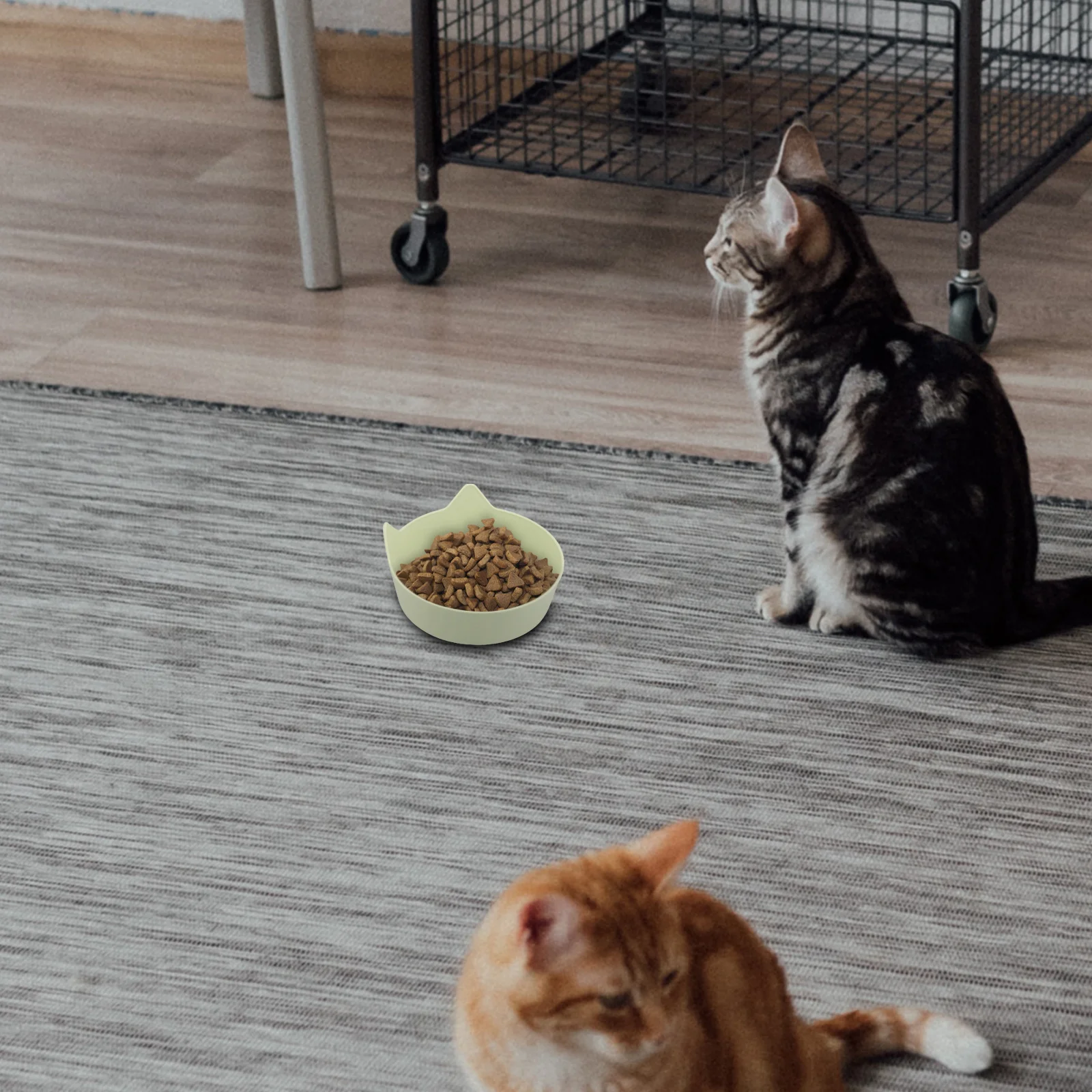 

Cat Bowl with Cute Ear Design Non Slip Base Slow Feeder for Small Pets Candy Colors Shallow Feeding Dish for Kittens Rabbits