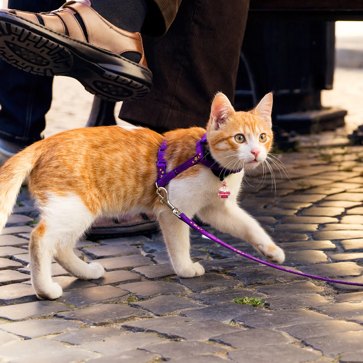 

10Pcs Santa Claus Bells Durable Iron Pet Necklace Accessories Christmas Pendant Bell Ringing for Dogs Pet Bells
