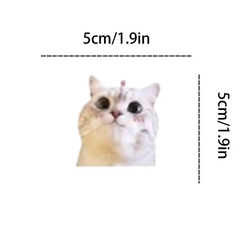 Pak stiker kucing lucu tahan air stiker kucing realistis dan beruntung untuk Laptop sepeda ponsel Skateboard hadiah untuk anak-anak