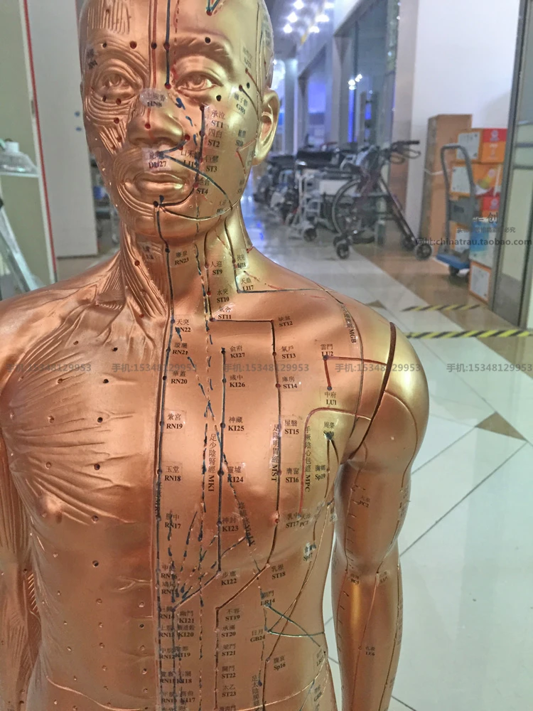 copper colour electroplating PVC plastic teaching acupuncture point model traditional Chinese medical body 85cm human model