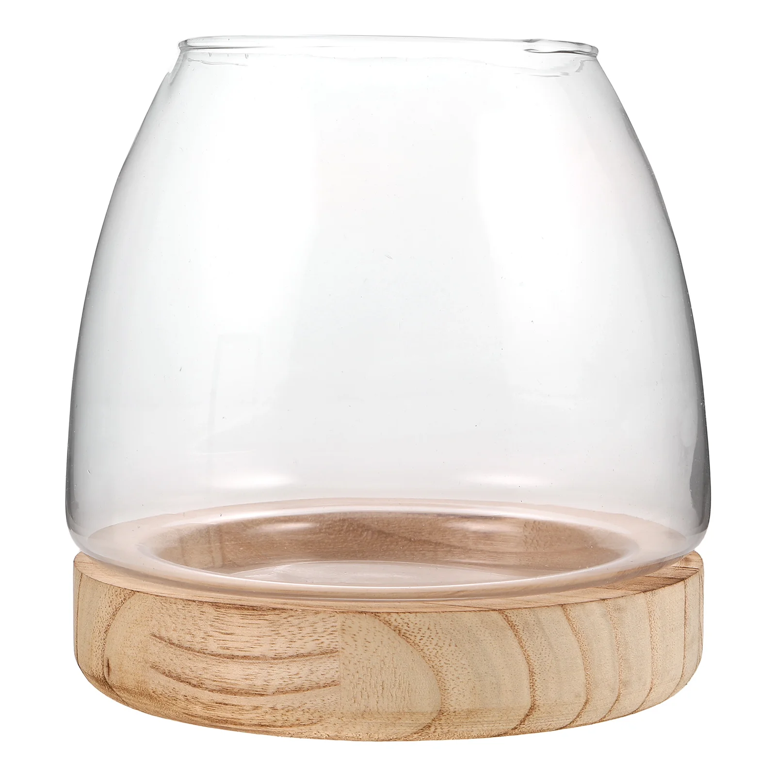 

Hydroponic Vase Clear Plant Pots Decorative Propagation Station Ornaments Wooden