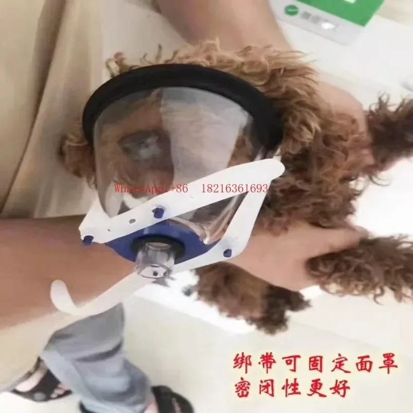 Store I182 Animal And Veterinary Breathing Masks Factory Direct Sales