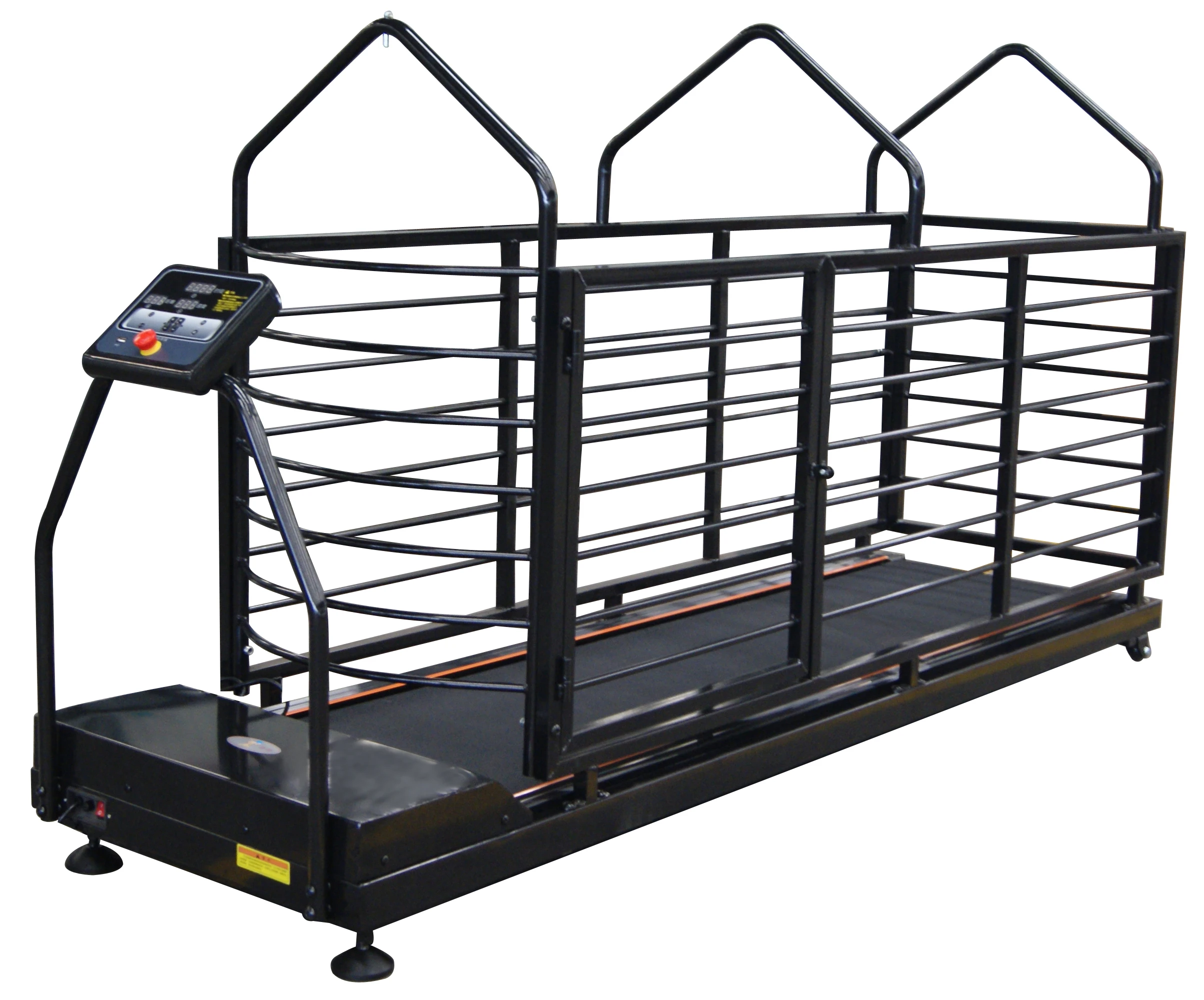 

Large Dog Pet Treadmill PET Treadmill Stainless Steel Dog Rehabilitation Treadmill Pet Rehabilitation Exercise