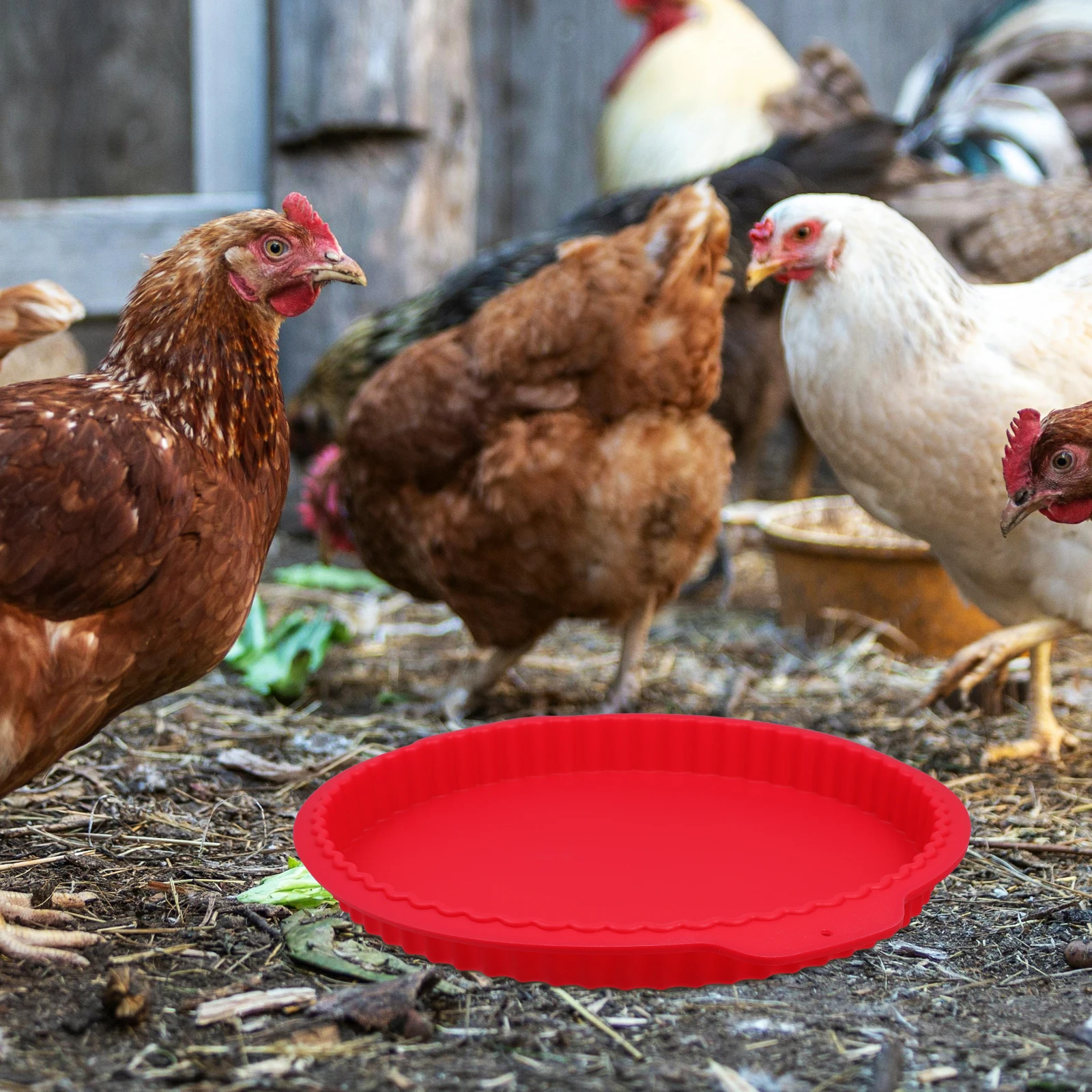 

Silicone Nesting Pad Chicken Coop Bedding Waterproof Washable Durable Comfortable Laying Eggs Bright Color Easy Install