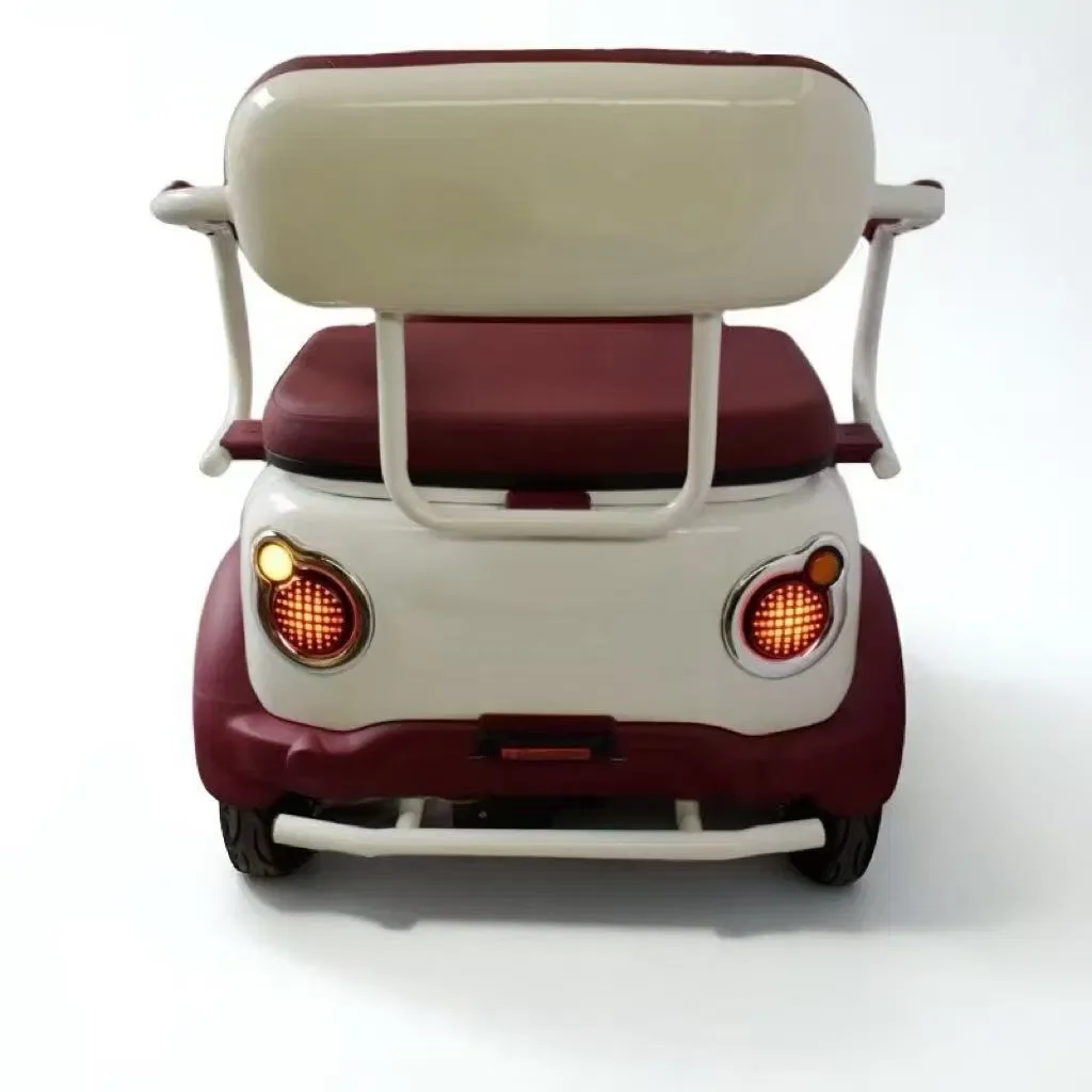 Triciclo elettrico CEE Per adulti Casa Tempo libero Scooter per mobilità per anziani Piccolo triciclo elettrico a tre ruote per raccogliere i bambini