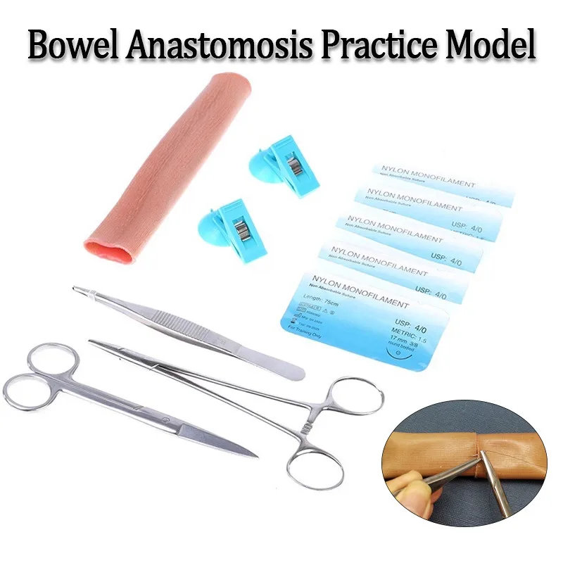 Modèle d'exercice de simulation d'anastomose intestinale laparoscopique, kit de pratique de suture bout à bout