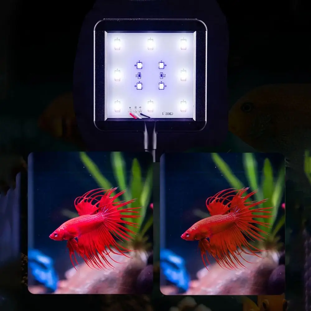 

High Brightness 360° Rotatable Aquarium LED Light Adjustable USB Fish Tank Light Waterproof Fish Tank Clip Lamp Landscaping