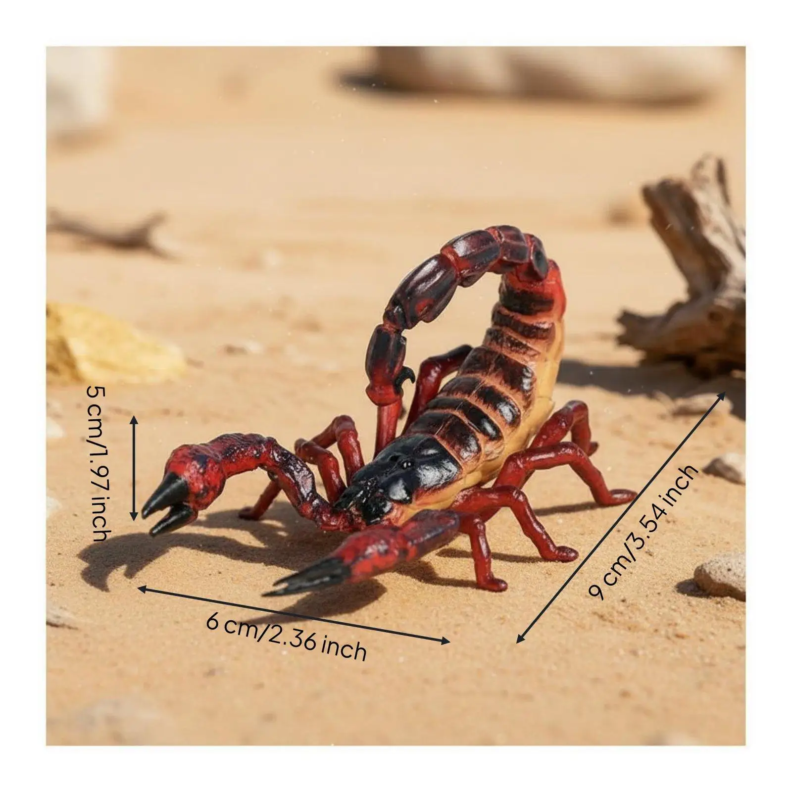 Plastic Figure Detailed Entomology Model Educational Children's Toys Learning Toy Set for Classroom and Home