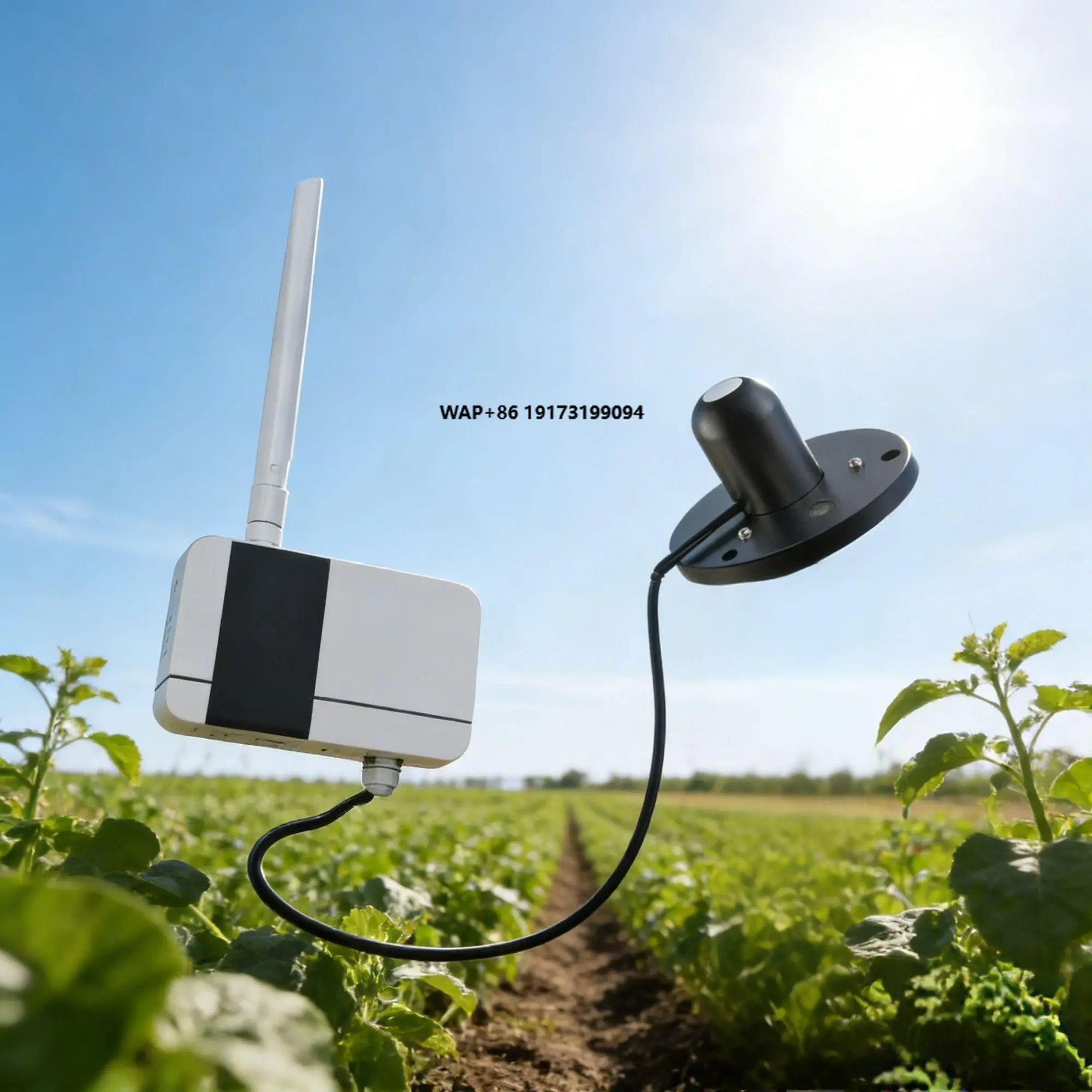 Bgt RS485 Photosynt…