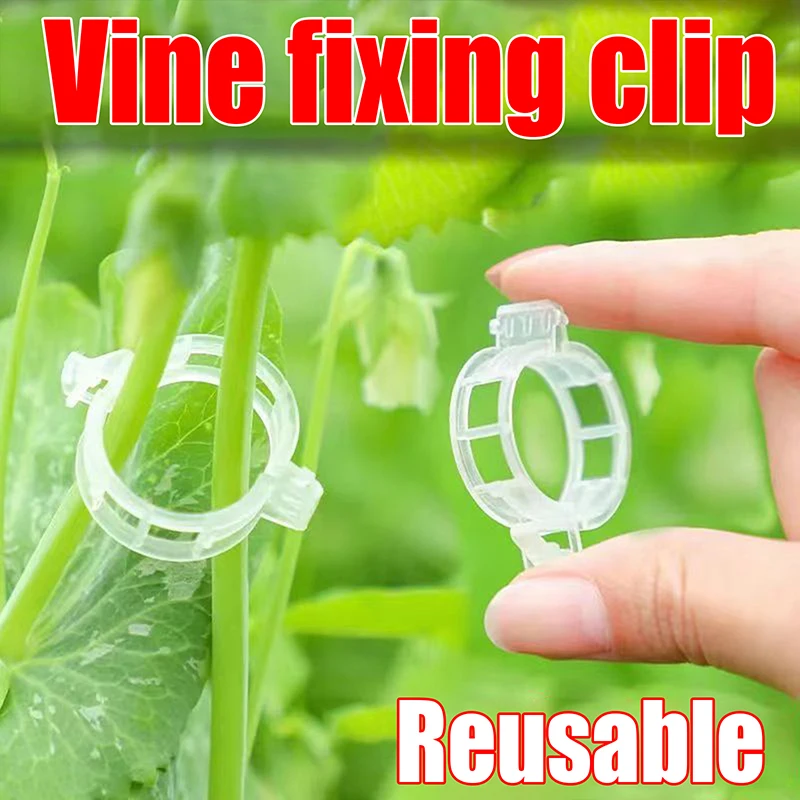 100Pcs Secured Plastic Plant Clip Upgrade Plant Support Clips Garden Clips For Climbing Plants Support Clips Plant Fixing Clips