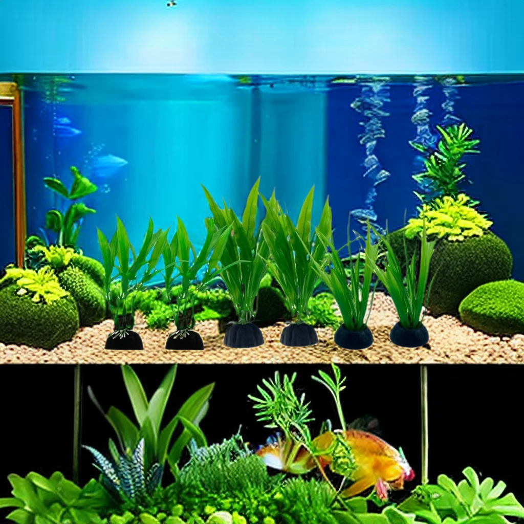6pcs Packs Aquarium Plants, Fi - đánh giá và giá Live Plant Aquarium