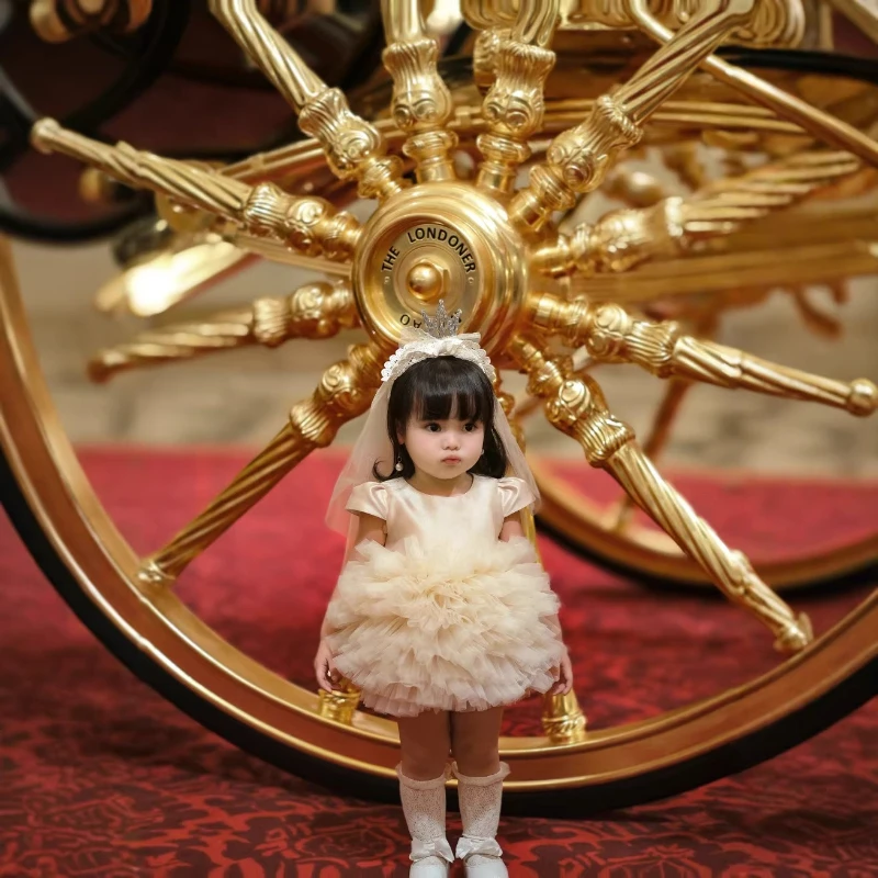 Children Girls Formal DressTulle Skirt Golden Childhood Baby Girl Pageant Outfit Vestido Costume Kids Tutu Cake Gown Champagne