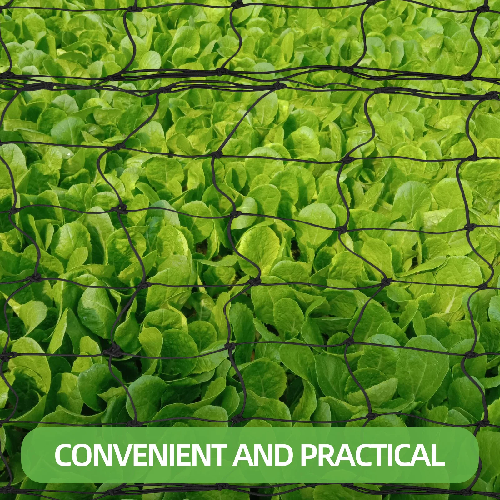 

Plant Climbing Net Garden Trellis Netting For Vegetables Fruits Flowers Vine Support Reusable Gardening Supplies