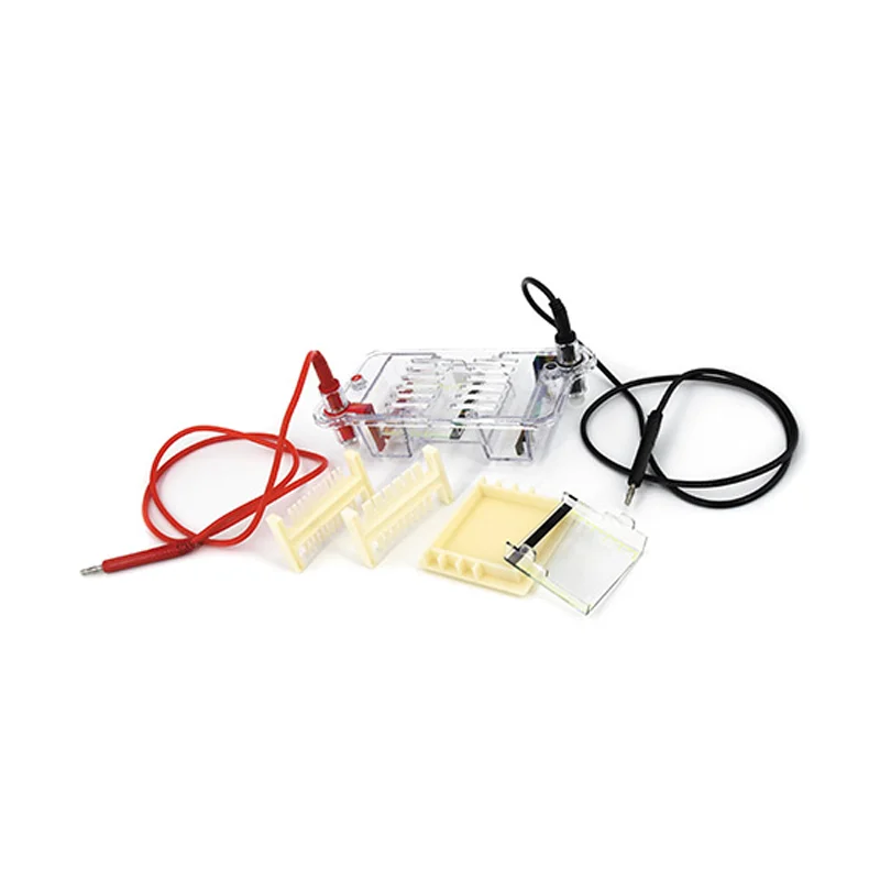 Agarose Horizontal Electrophoresis Instrument Is Suitable for Separating, Preparing DNA, and Determining Molecular Weight