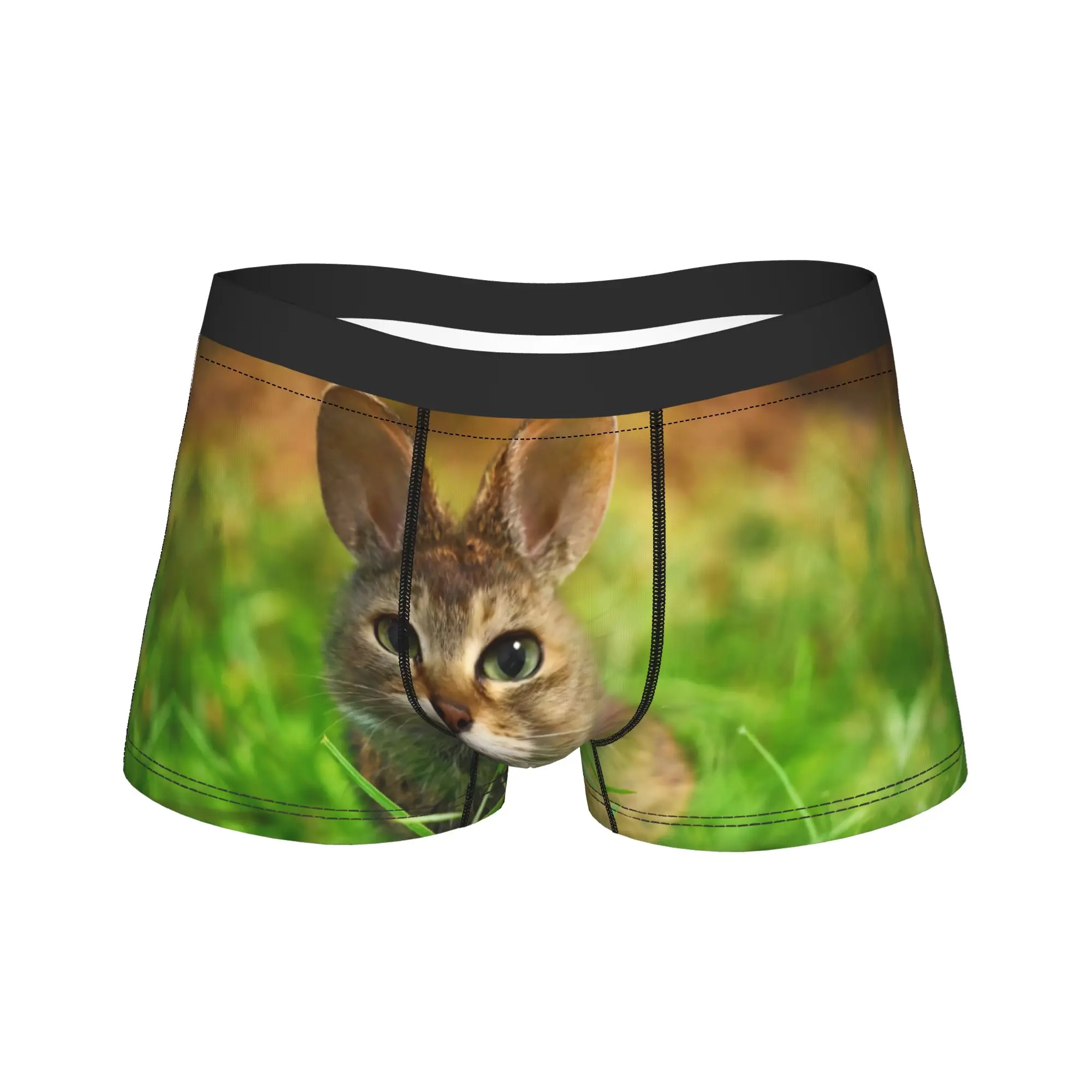 

Meowl Cat Funny Internet Trendy Meme Underwear Men Boxer Brief Classic Boxershorts Hot Sale Pattern Plus Size Panties