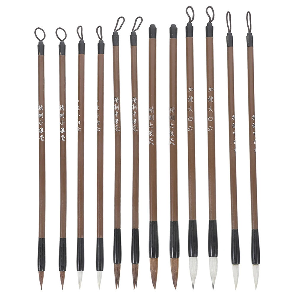 

12pcs Chinese Calligraphy Brush Set Students Practice Ink Brushes School Home Training Kit Japanese Brush Pen Calligraphy For