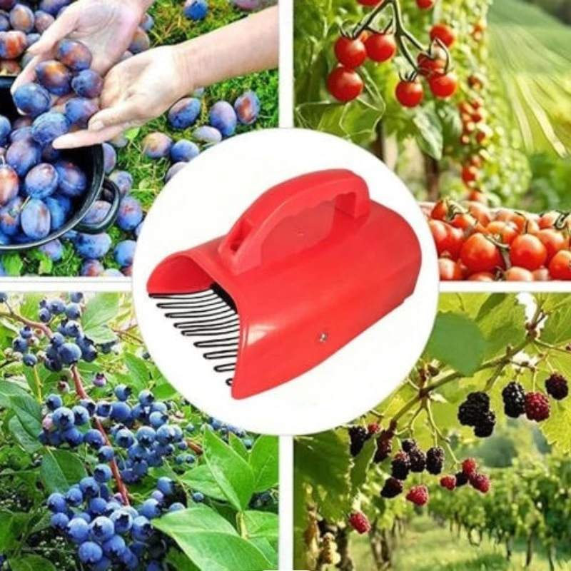 Blueberry Fruit Picker Garden Handheld Picking Device Portable Berry Manual Picking Tools Multifunctional Farming Supplies