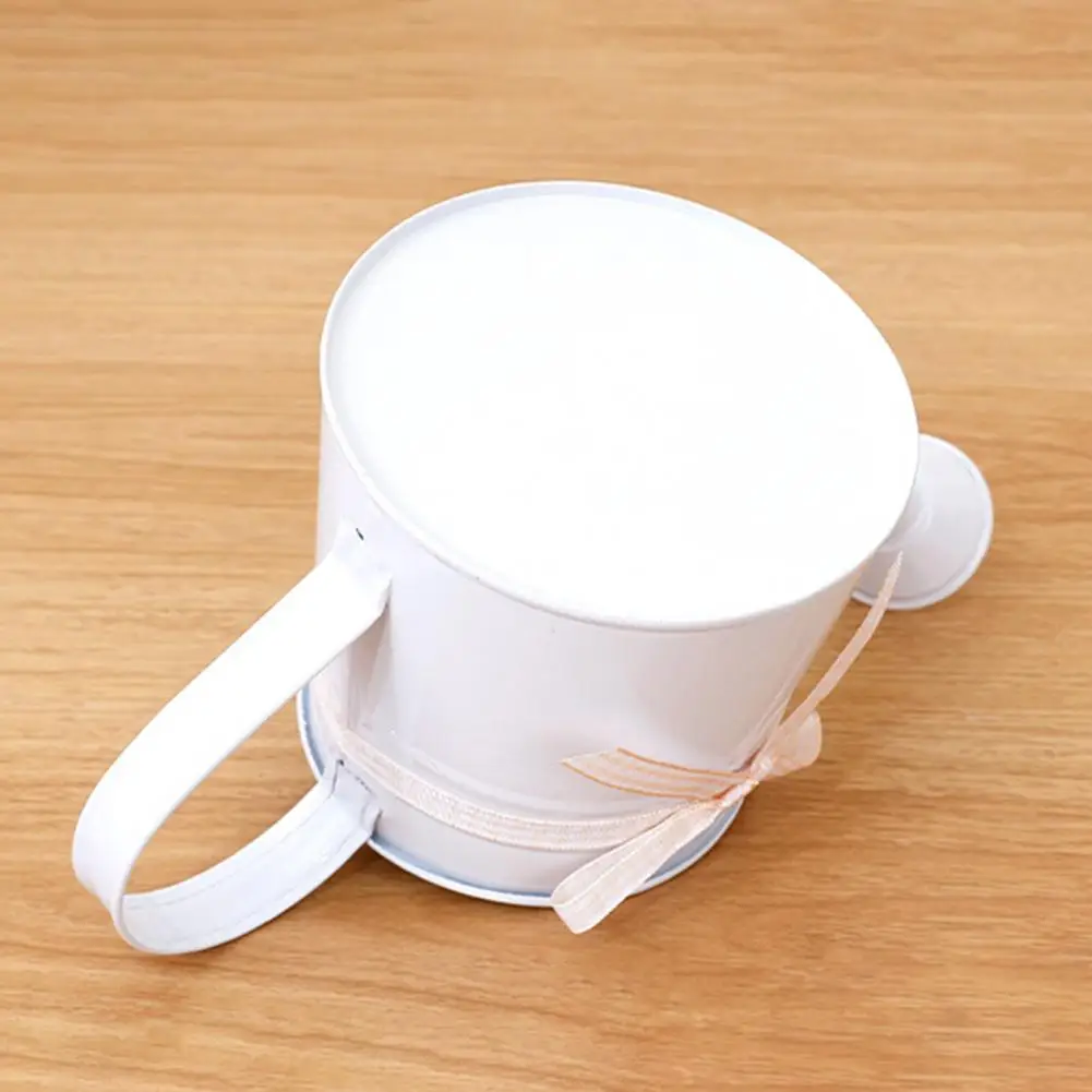 Long Nozzle Watering Ergonomic Watering Bottle 1l Mini Watering with Ribbon Bow Vintage Metal Garden Pot Ergonomic Handle Indoor