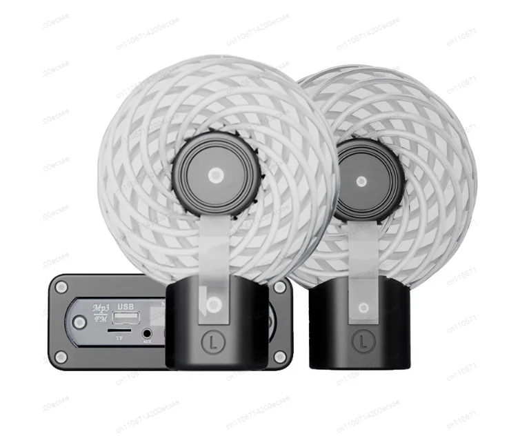 120mm Double Circle Rodin Coil – Rotating Magnetic Field Coil Electronic Coil DIY Kit, Includes a Power Amplifier