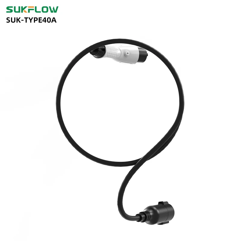 Рисунок 3 - Sukflow Тип 1, стандартный зарядный удлинитель США