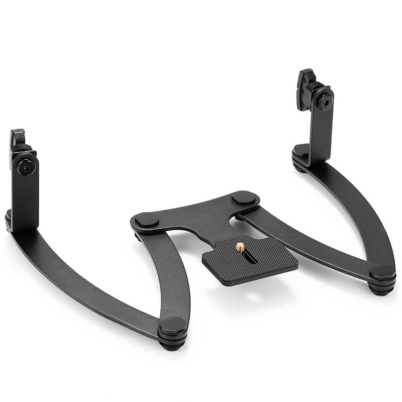 Dental Aesthetic Sh…