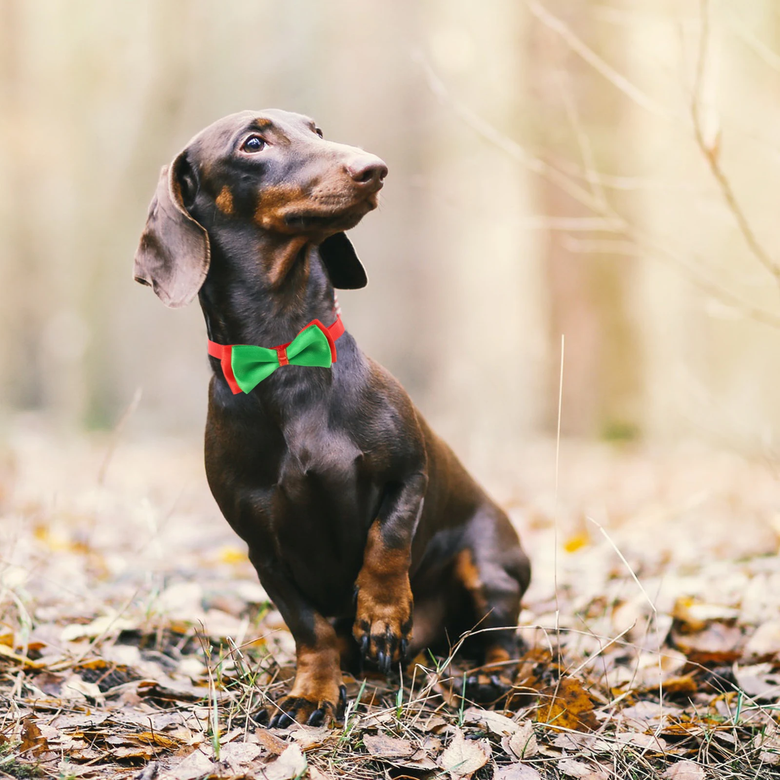 

3Pcs Pet Bow Tie Adjustable Christmas Dog Collar Decoration Festival Accessories Bridegroom Holiday Pet Supplies