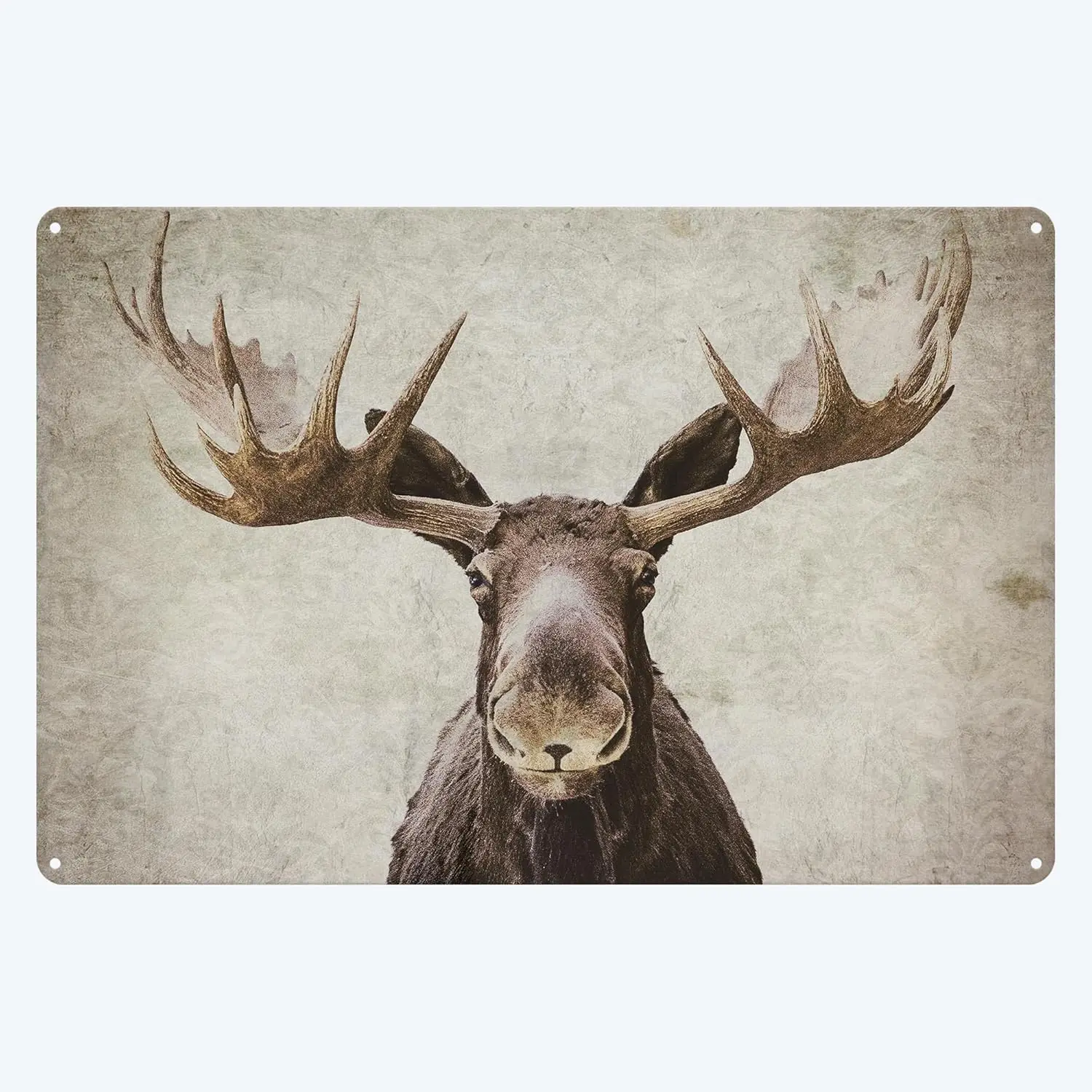Metal Tin Sign Moose Wall Art Farmhouse Retro Hanging Sign for Bedroom Kitchen Garden Bab Club Coffee Home Decor