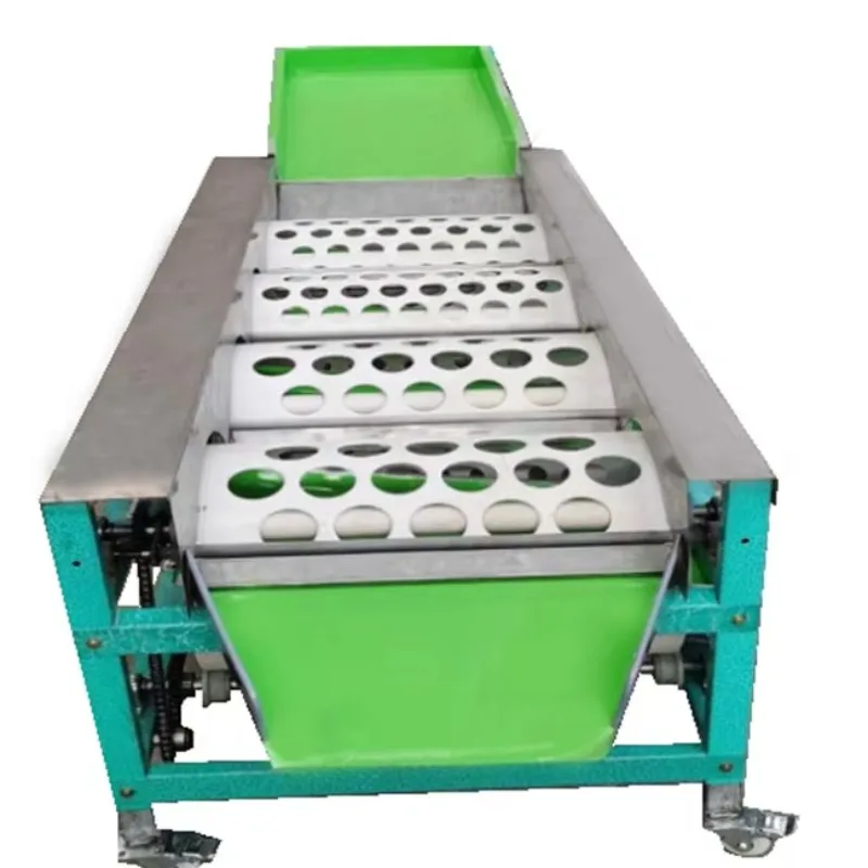 Hot Sale Garlic/orange/jujube/Hawthorn Berry and Cherry  Sorting Machine