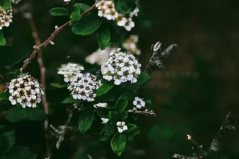 

Для WPL B36-2 1/16 металлическая ракетная установка труба радиоуправляемый грузовик BM-21 Grad 6x6 автомобиль 2-скоростная коробка передач