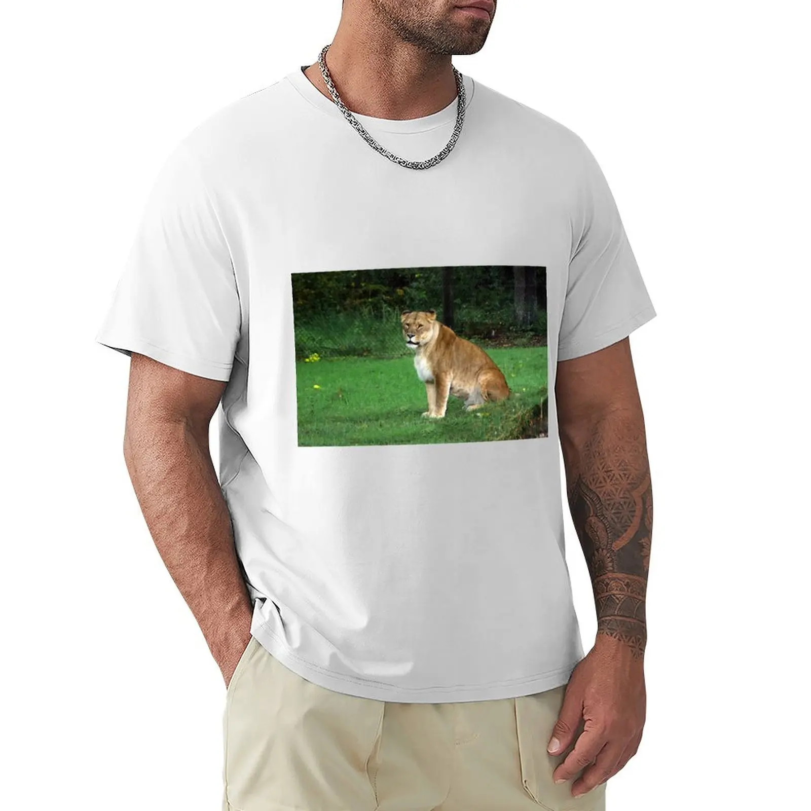

Lionesses - Study III T-Shirt customs graphics designer t shirt men