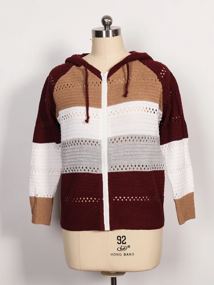 2024 Autumn and Winter New Casual Cardigan Women's Tops Plus Plus Zip Hoodie Colorblocking Lightweight Loose Top