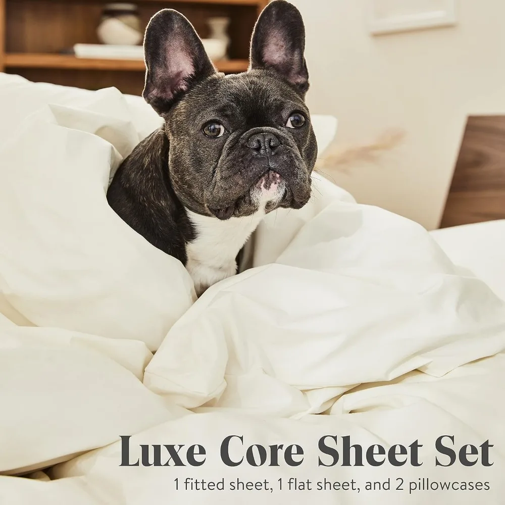 Luxury Sateen 4 Piece Sheet Set - 100% Cotton, Queen Size in Cream - 1 Fitted Sheet, 1 Flat Sheet, 2 Pillowcases