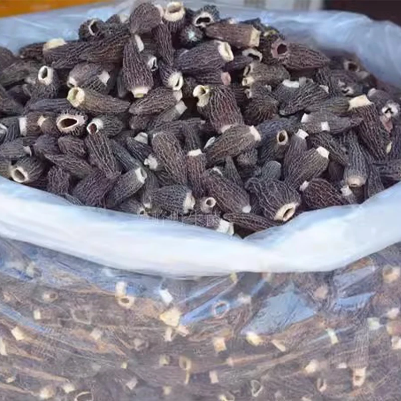 

Chinese Natural Dried Morel Mushroom Yunnan Special Grade Wild Yangdujun 6-8cm Mushroom DIY Resin Raw Material Photography Props