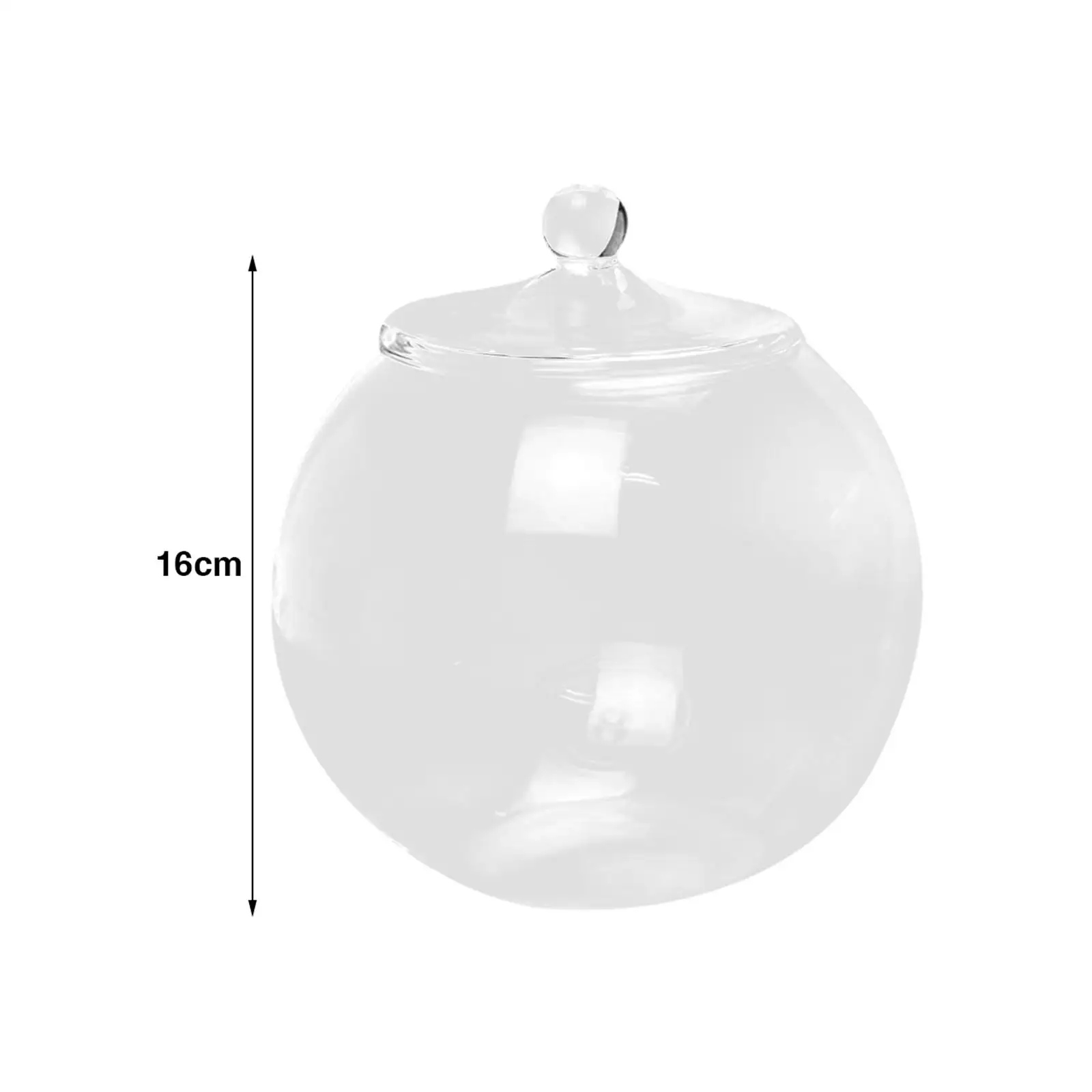 Desktop Glass Terrarium Container Sealed Storage Jar Round Vase for Interior Flower Arrangement and Office Decor
