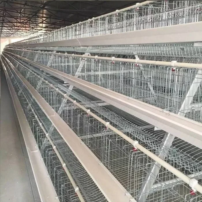 good quality A type 4 tiers chicken cage for 160 layers in south africa market