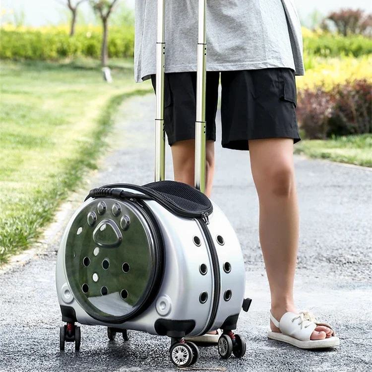 

Small Pet Trolley Case Backpack 2-In-1 Portable Outing Backpack for Cats and Dogs