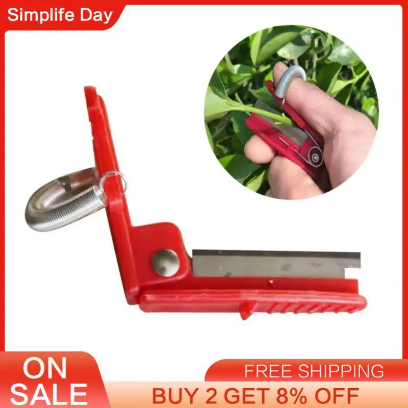 Folding Knife Accessories Camping Kitchen Tools And Gadgets Manuals Food Processors Knife Null Kitchen Accessories