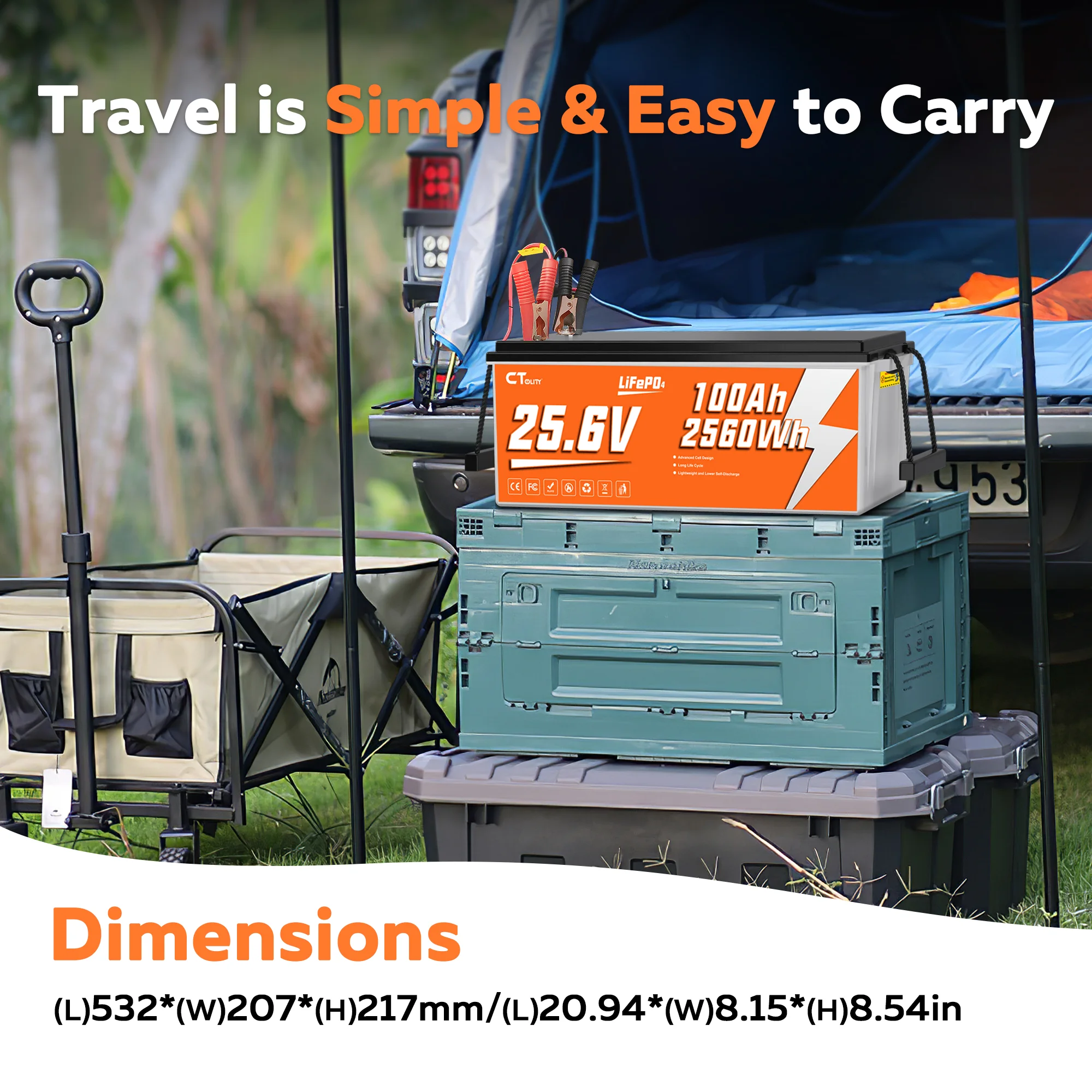24V 100Ah LiFePO4 Lithium Battery, 2560Wh Deep Cycle Energy Storage with Built-in BMS, 4000+ Cycles for Solar System, RV, Marine & Off-Grid Backup Power