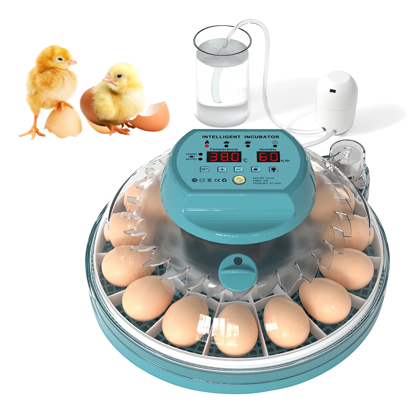 Egg Incubator for Hatching with Automatic Egg Turning Led Egg Test Lamp Clear Lid 15 Eggs Poultry Hatcher Farm Hatcher Tools