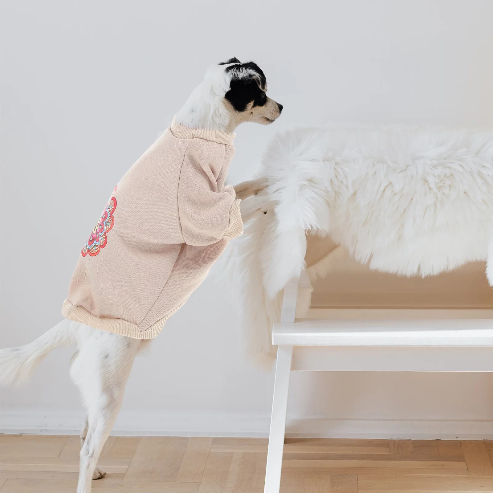 

Cotton Dog Sweater Durable Puppy Clothes Adorable Patterns Stylish Winter Garment Cozy Outdoor Breathable Hoodie Clothing Dog