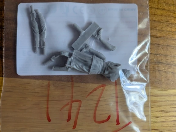 Buyer photo of this resin kit