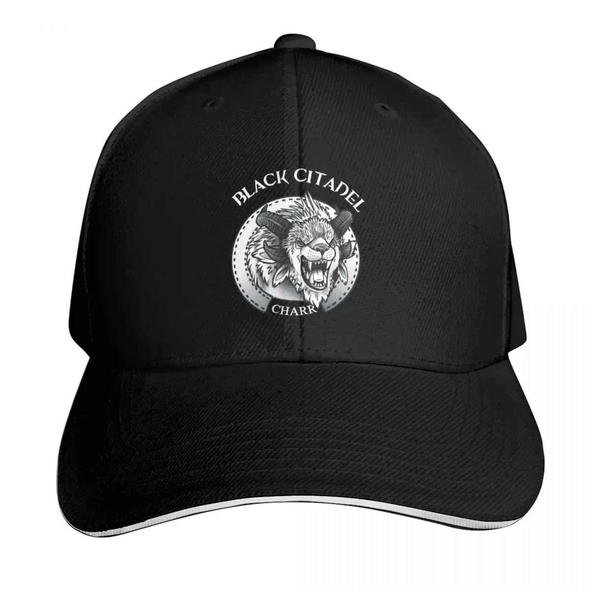 Gorra de béisbol Charr GW2 Black Citadel, gorra de béisbol moderna y bonita de estilo Hip Hop, gorras de béisbol para mujer, sombreros para hombre