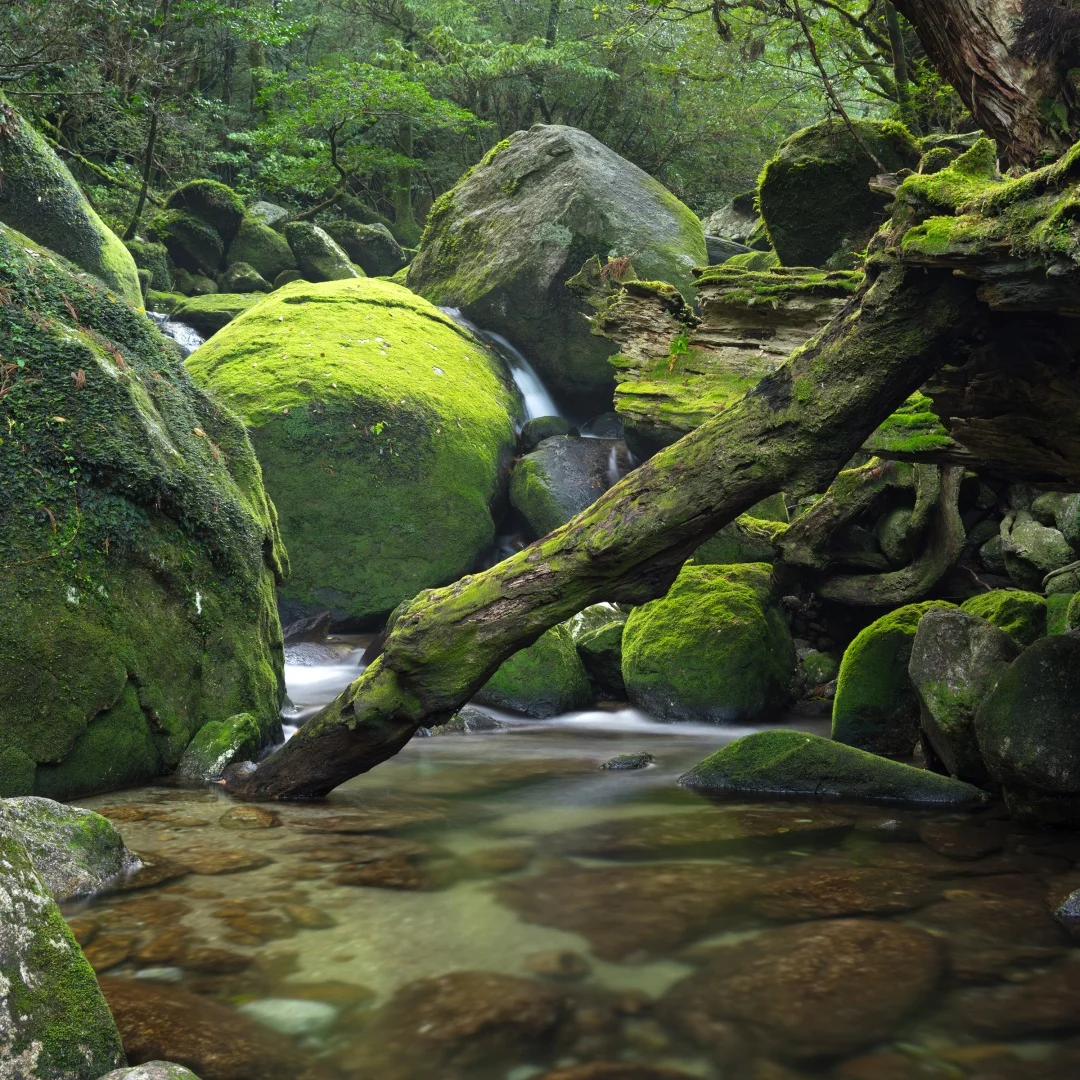 

12,3 + 12,3 "Android 13 авто радио для Jeep Wrangler 2018-2023 двойной экран радио CarPlay Bluetooth мультимедийный видеоплеер