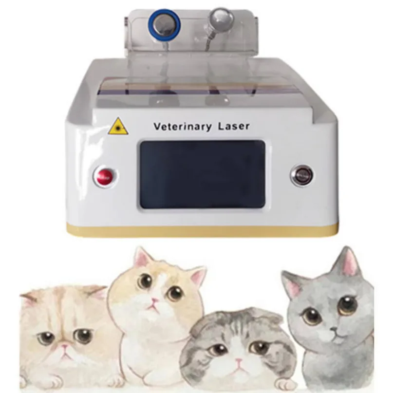 

Class 4 Veterinary Laser 60W Physical Therapy Veterinary Physiotherapy Equipment Rehabilitation